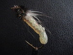 DSC05907
