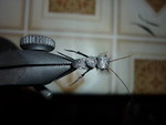 P1010366